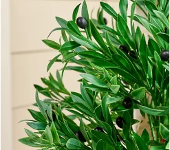 Alternative view of Wicker Park 41" Olive Topiary Tree with Pot