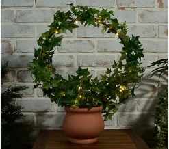 Compass Home Illuminated Grapevine Wreath in Planter