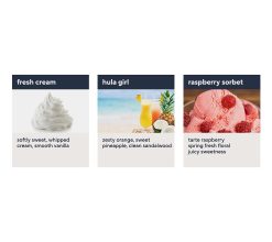 Alternative view of philosophy 32oz trio of treats shower gel