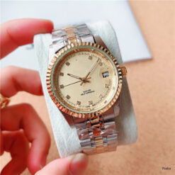Stainless Steel Mechanical Watches For Men - Gold